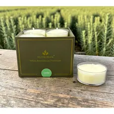 Vela Aromática Premium Alecrim C/12 Mini Velas Velitah Brasil