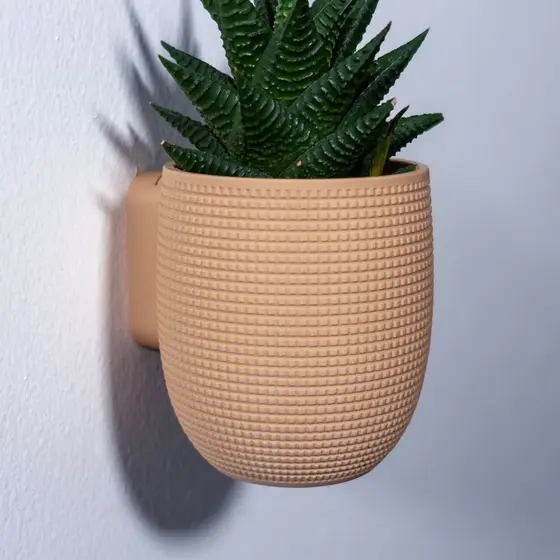 Vasos de Parede Decoração Planta Suculenta Ambientes Kit Grid Designs 4 You