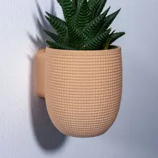 Vasos de Parede Decoração Planta Suculenta Ambientes Kit Grid Designs 4 You