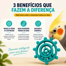 Brinquedo Interativo Giratório para Calopsitas e Periquitos Passaros bico torto