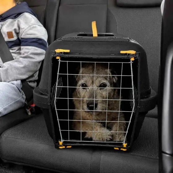 Caixa Transporte Cachorros Cães Gatos Coelhos Pets N1 N2 N3 Pequeno Grande