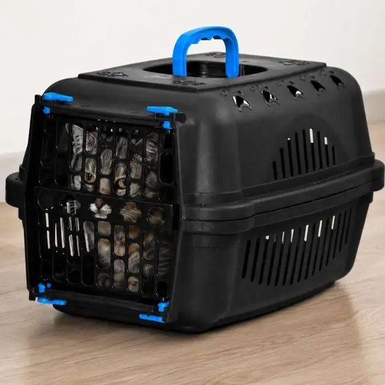 Caixa de Transporte para Animais de Pequeno Porte N1 Durapets Black