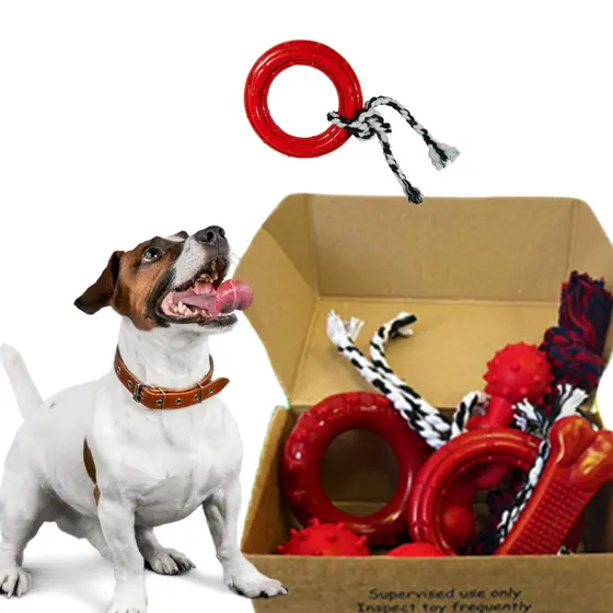 Kit 7 Brinquedos Mordedor Pet Cachorro Filhotes Porte Médio Duratoys Breeds