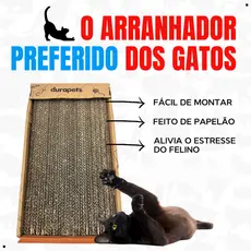 Brinquedo Pet Arranhador Interativo Para Gatos Rampa com 2 Bolinhas Exclusivo
