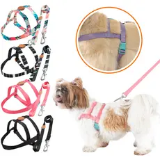 Coleira Guia Peitoral Para Cachorro Premium Tradicional Toh Pet Ajustável Cães Cão