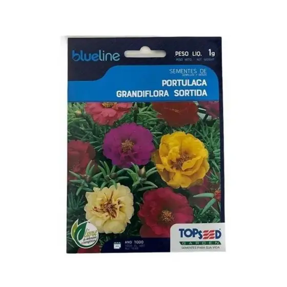 10.000 Sementes DE Flor Onze Horas Portulaca Cores Variadas - ONZE HORAS BLUE LINE (11195 - 02333)