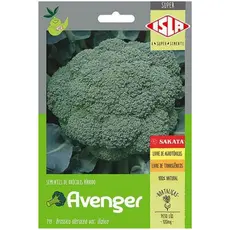 SEMENTES DE BRÓCOLIS JAPONES - BRÓCOLIS HÍBRIDO AVENGER SAKATA (12910 - 11381)