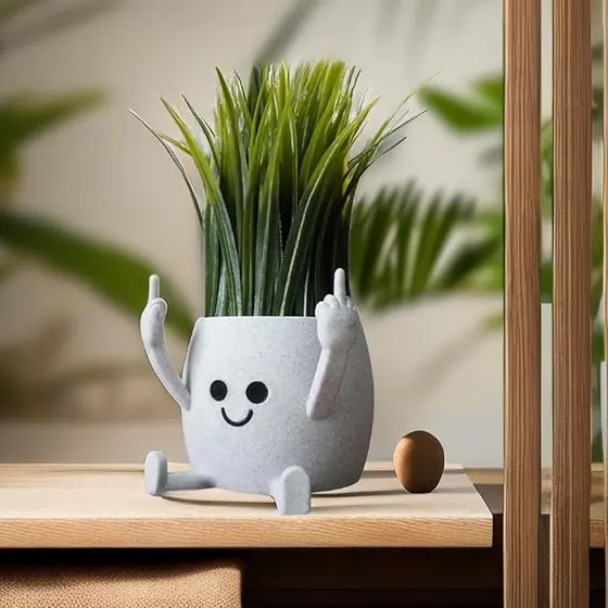 Vaso Suculentas Dedo do Meio