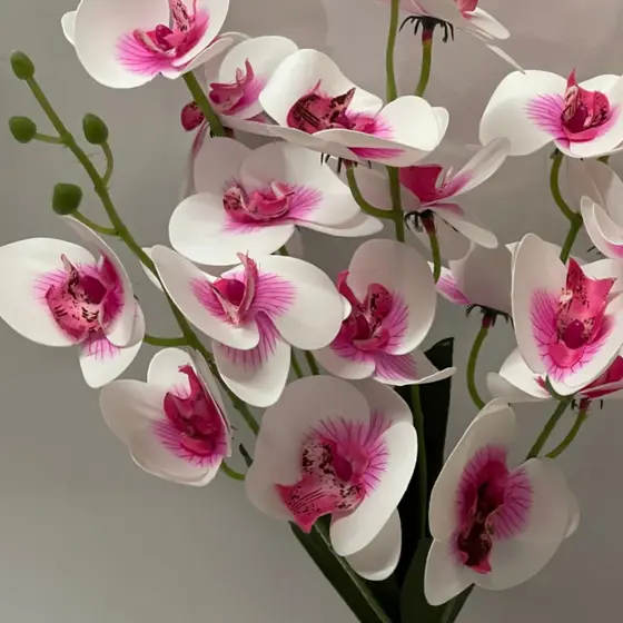 Orquídea Artificial (Nova)