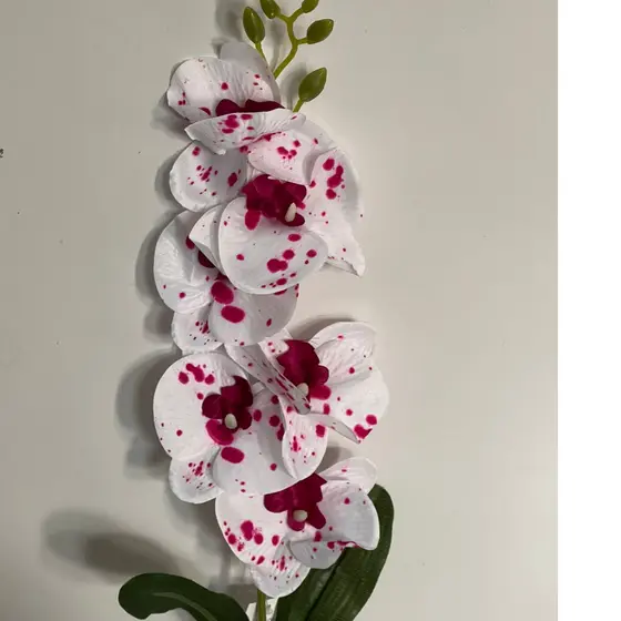 Orquídea 1 Haste com 6 Flores e 2 Folhas (cc344)
