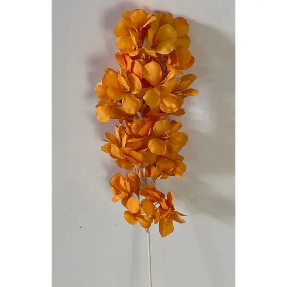 Flor de Outono (cc512)