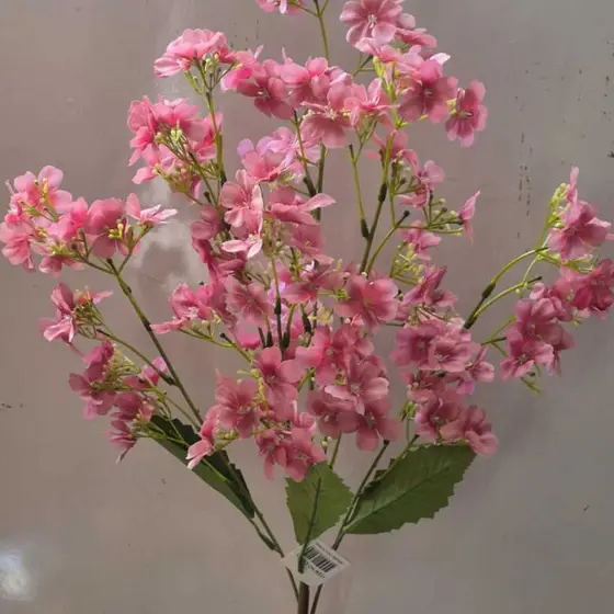 Flor de Galho de Hortênsia (cc401)