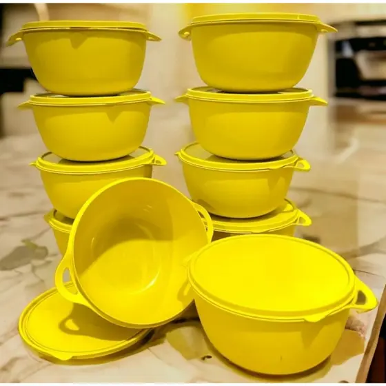 Jogo com 10 potes boll de plástico para marmita 1 litro