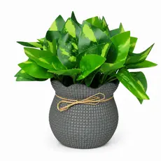 Planta Artificial Decorativa 15cm Sortida Com Vaso Folhagem Verde Para Mesa