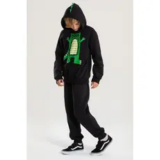 Conjunto Infantil Masculino Pequeno Jacarezinho