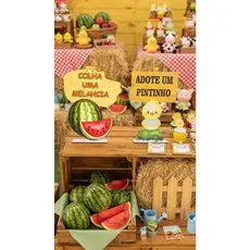 Display Adote um Pintinho + Colha uma Melancia 25 cm