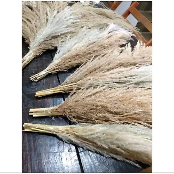 Buquê Capim dos Pampas decoração de luxo artesanato.