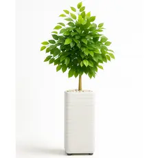 Planta Artificial Kit Decoração Enfeite Sala Escritório Com Vaso