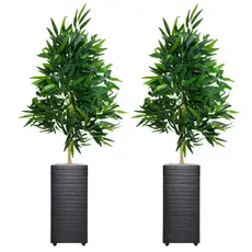 Kit 2 Bambu Da Sorte Com Vaso Decorativo Para Enfeite Decoração
