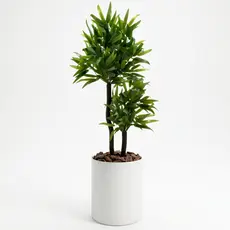 Bambu Da Sorte Artificial Enfeite Sala + Vaso Design Moderno Decoração Kit Decorativo Completo