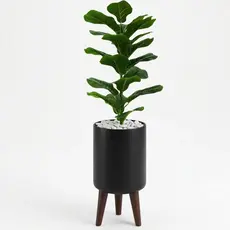 Ficus Lyrata Bambino Artificial Realista Com Vaso Decorativo