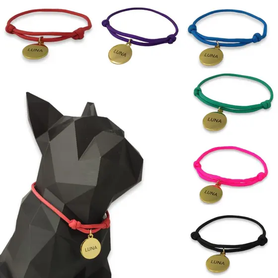 Coleira para cachorro plaquinha tag de identificação pet cachorro gato personalizada com gravação