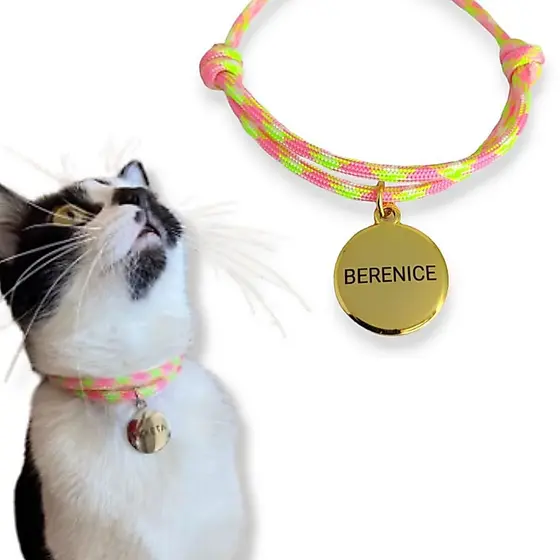 Coleira com plaquinha de identificação para gato felinos personalizada com gravação nome e tel