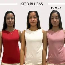Kit 3 blusa canelada kit 3 blusa tendência kit 3 blusa dia dia kit 3 blusa verão kit 3 canelada kit 3 blusa feminina