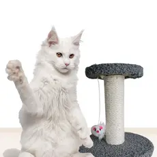 Arranhador Para Gato Poste Sisal Com Brinquedo Duplo Mini De Mesa Nicho
