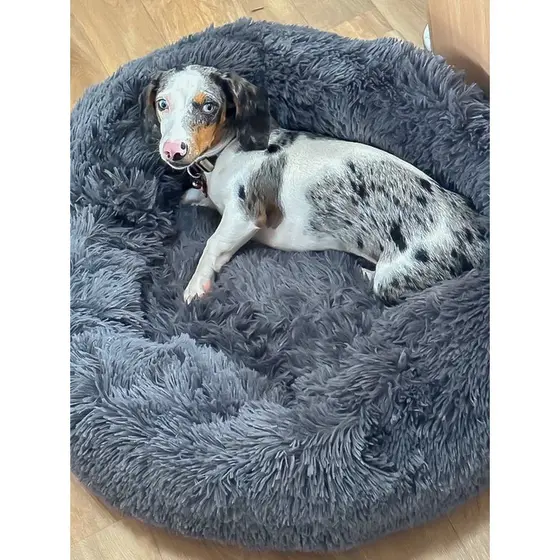 Caminha Nuvem Pet Cama Redonda Para Cachorro Gato Tam Grande 70 cm