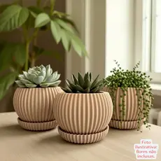 Vasos suculentas decorativos cachepô plantas naturais com bandeja (escolha 1,2 ou 3 unidades)
