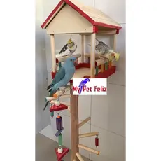 brinquedo para calopsita - playground para calopsita - parquinho calopsita - casa da árvore 1 metro
