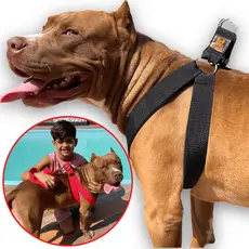 Coleira Peitoral Guia Para Cachorro Pitbull Golden Regulável e Confortável