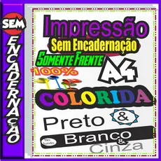 Impressão em A4 com até 90 páginas Impressas SOMENTE FRENTE e 1 PÁGINA POR FOLHA SEM ENCADERNAÇÃO