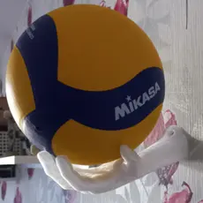 Suporte de Parede Para Bola - Futsal - Basquete - Vôlei - Futebol Americano handebol Formato ( Mão )