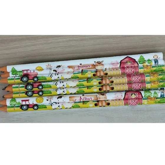 25 lápis lembrancinha personalizado para festa infantil fazendinha