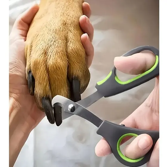Cortador De Unhas Para Animais De Estimação Em Aço Inoxidável + Lixa De Unha Cuidar De Cães E Gatos , Adequado Filhotes