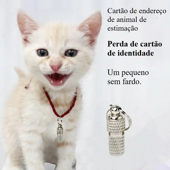 2 peças Halter pescoço Anti-perdido etiqueta de identidade colar escrita etiqueta do cão endereço tira pingente gato tag