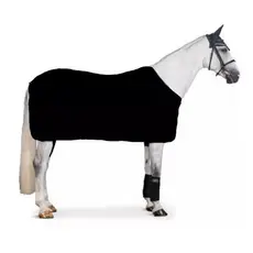 Capa de Cobrir Cavalo Impermeável Capa De Cobrir O Cavalo Frio / Inverno