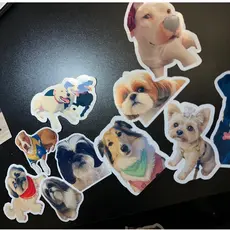 Kit de Adesivos Personalizados Cachorrinhos | Papelaria Personalizada | Lembrancinha Pet