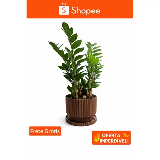 Vaso Decorativo para Plantas com Prato | Vaso Moderno para Ambientes Internos