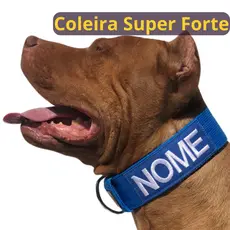 Coleira personalizada para cachorro de médio e grande porte.