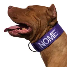 Coleiras personalizadas extremamente fortes para cães de médio e grande porte.