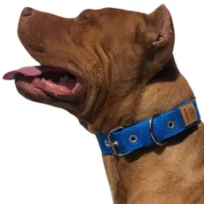 Coleira slim forte para cães de médio e grande porte com 3cm de largura