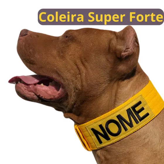 Coleira personalizada para cães de médio e grande porte.
