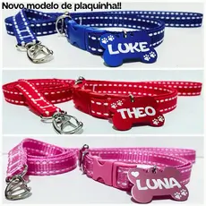 Coleira e guia para cachorro com plaquinha de identificação