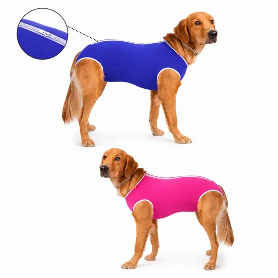 Roupa Pós Cirúrgica Com Zíper Fêmea Macho Castração Pet
