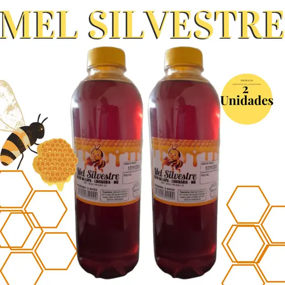 Kit 2 Unidades Mel Garrafa Abelha Silvestre 1,3kg Envio Imediato
