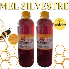 Kit 2 Unidades Mel Garrafa Abelha Silvestre 1,3kg Envio Imediato