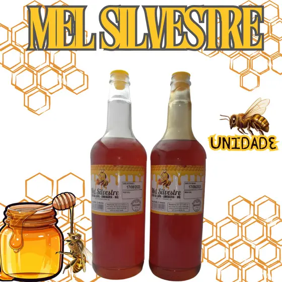 Promoção Mel Garrafa Abelha Silvestre 1,3kg Envio Imediato